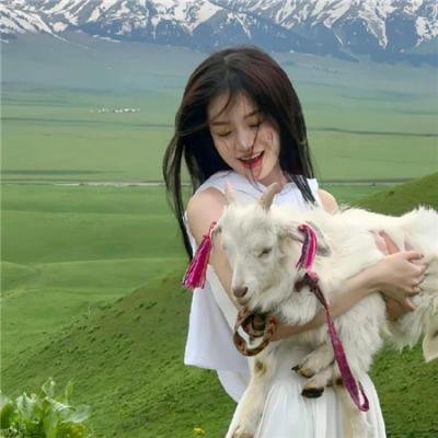 豪勇七蛟龙续集